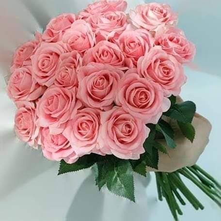 All Colour Roses (No Red Roses)