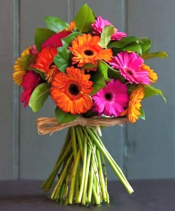 Gerbera Bunch