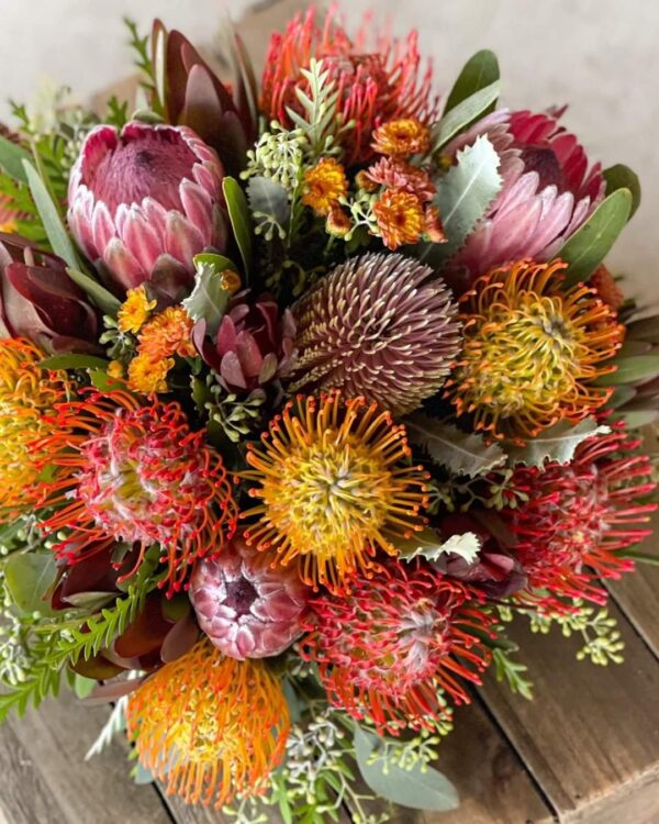 Protea Bunch
